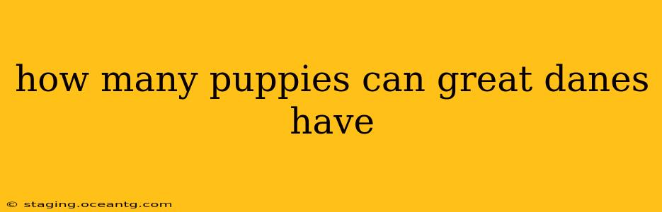 how many puppies can great danes have