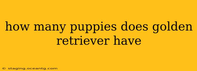 how many puppies does golden retriever have