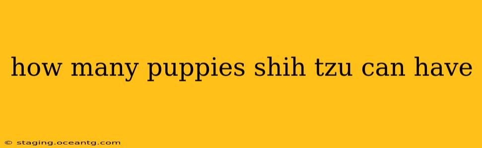 how many puppies shih tzu can have