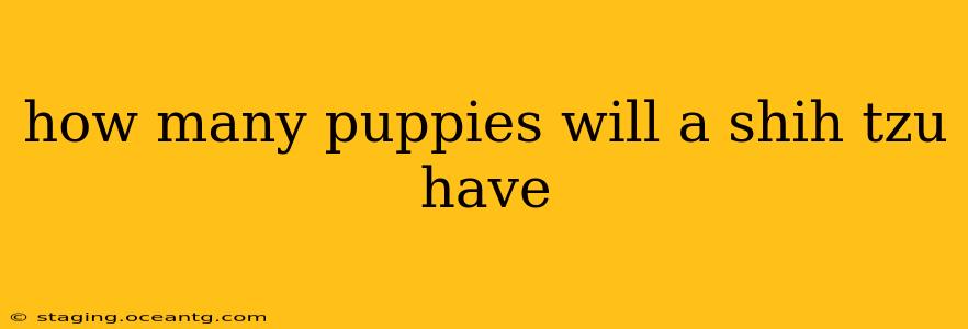 how many puppies will a shih tzu have