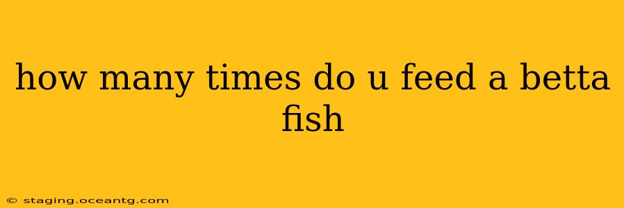 how many times do u feed a betta fish