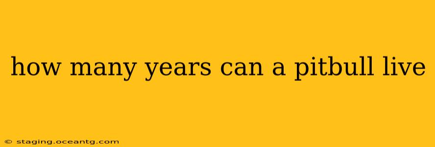 how many years can a pitbull live