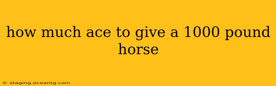 how much ace to give a 1000 pound horse