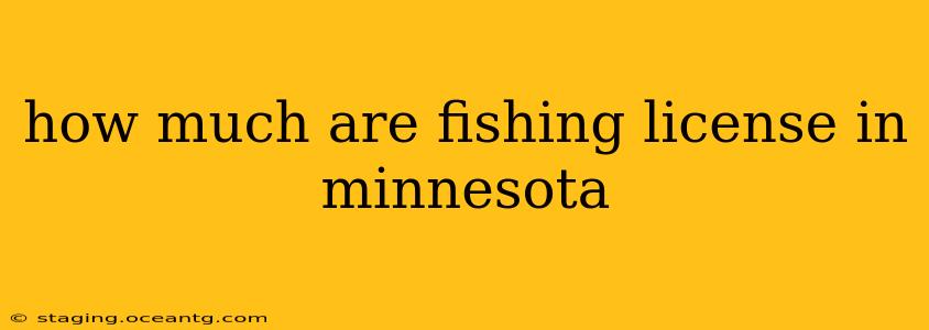 how much are fishing license in minnesota