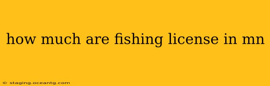 how much are fishing license in mn