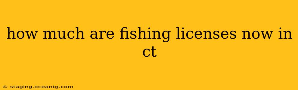 how much are fishing licenses now in ct