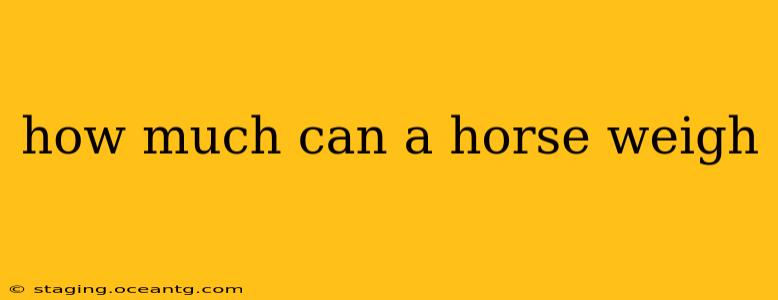 how much can a horse weigh