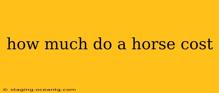 how much do a horse cost