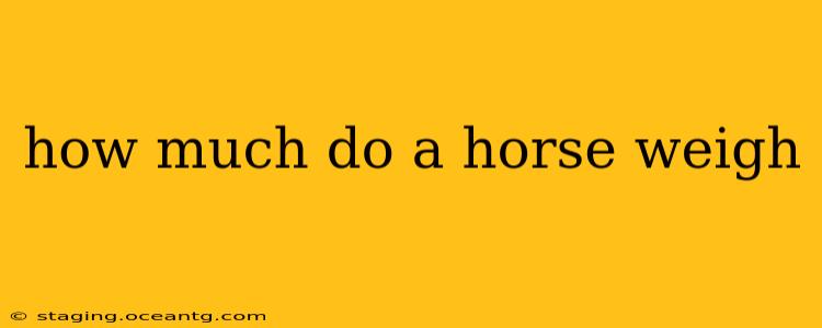 how much do a horse weigh