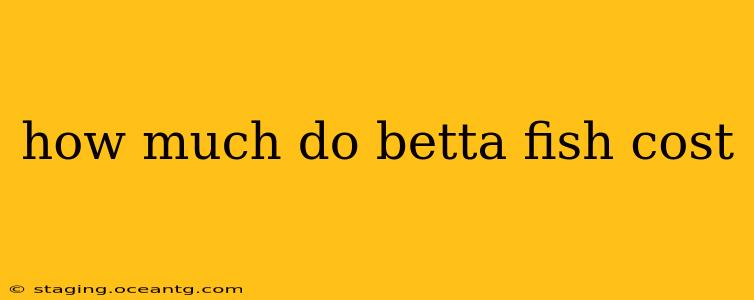 how much do betta fish cost