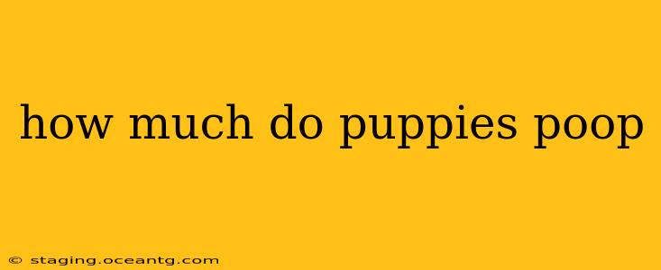how much do puppies poop