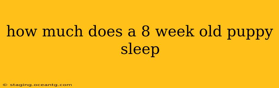 how much does a 8 week old puppy sleep