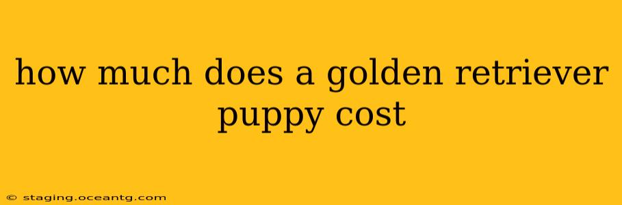 how much does a golden retriever puppy cost