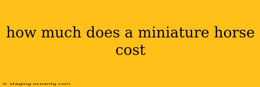 how much does a miniature horse cost