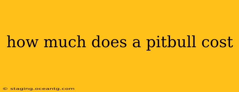 how much does a pitbull cost