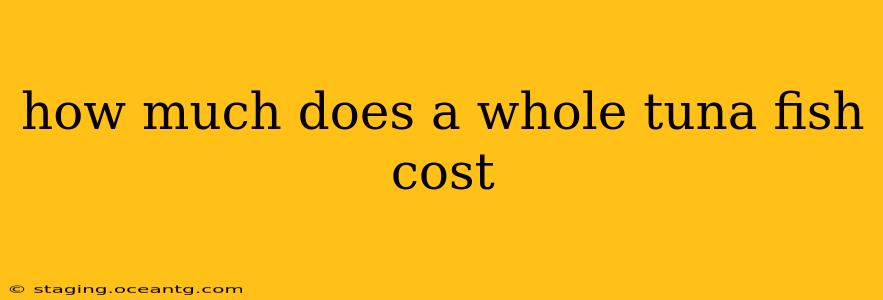 how much does a whole tuna fish cost