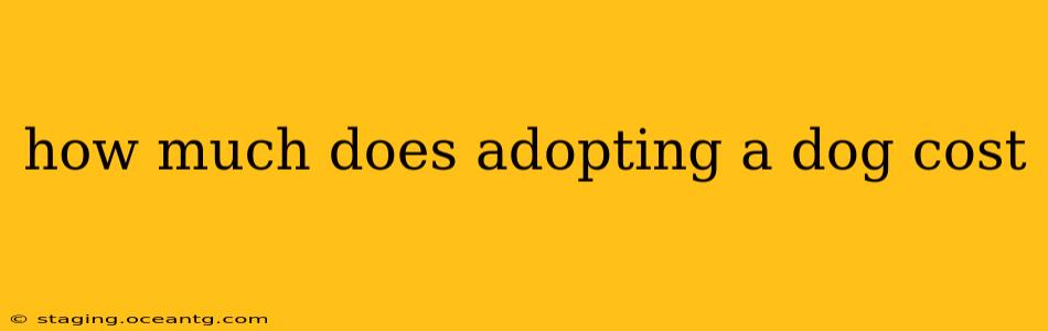 how much does adopting a dog cost
