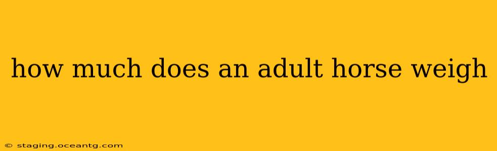 how much does an adult horse weigh