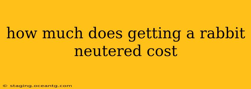 how much does getting a rabbit neutered cost