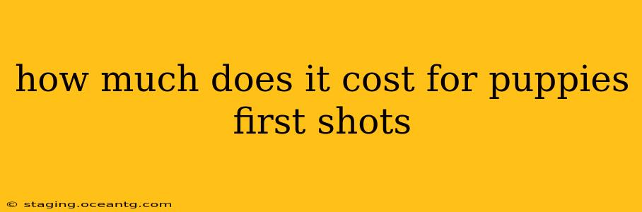 how much does it cost for puppies first shots
