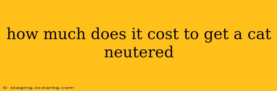 how much does it cost to get a cat neutered