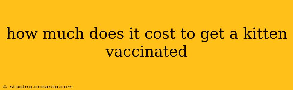 how much does it cost to get a kitten vaccinated