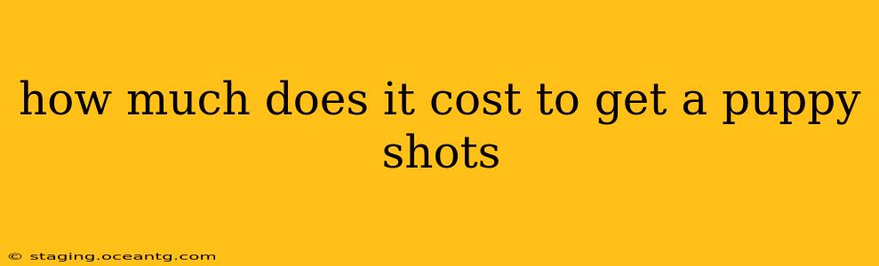 how much does it cost to get a puppy shots