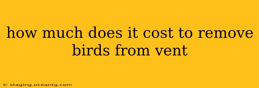 how much does it cost to remove birds from vent