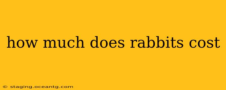 how much does rabbits cost