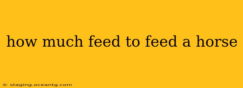 how much feed to feed a horse