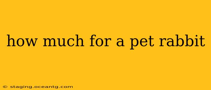 how much for a pet rabbit