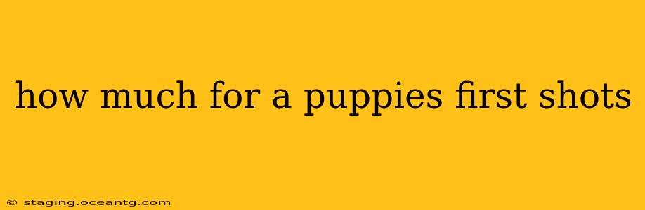 how much for a puppies first shots