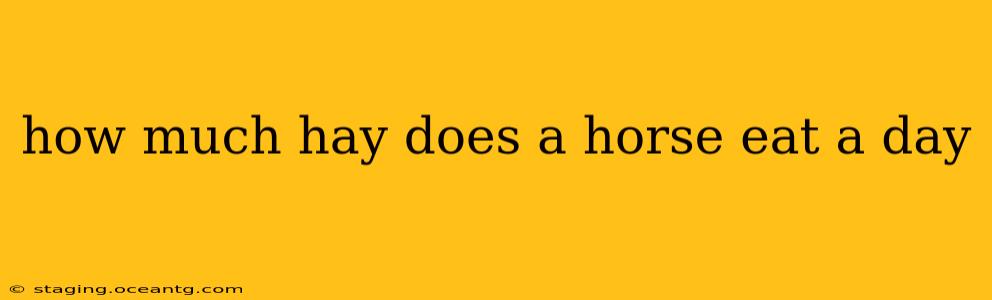 how much hay does a horse eat a day