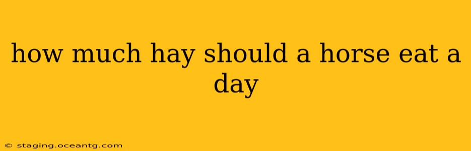 how much hay should a horse eat a day