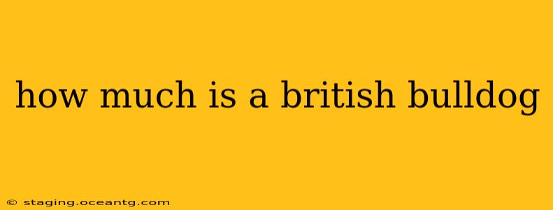 how much is a british bulldog