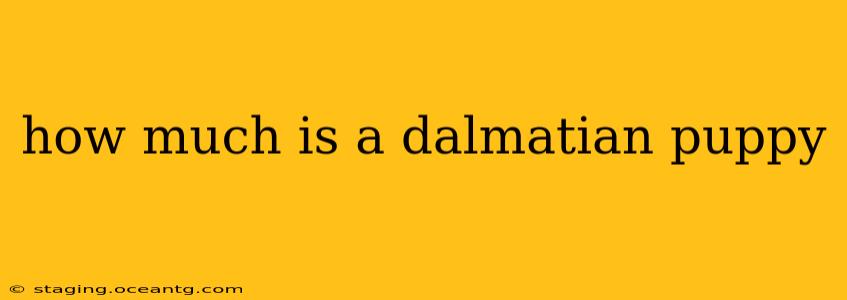 how much is a dalmatian puppy