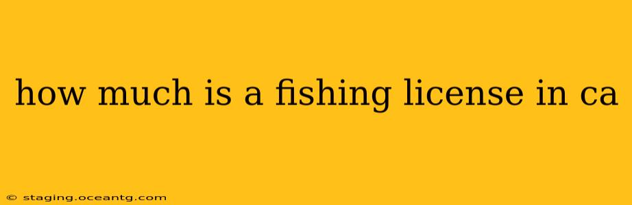 how much is a fishing license in ca
