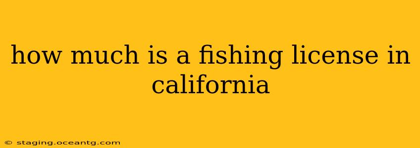 how much is a fishing license in california