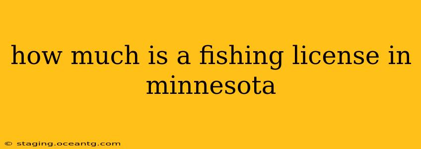 how much is a fishing license in minnesota