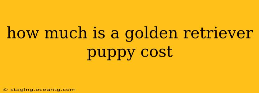 how much is a golden retriever puppy cost