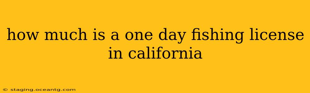 how much is a one day fishing license in california