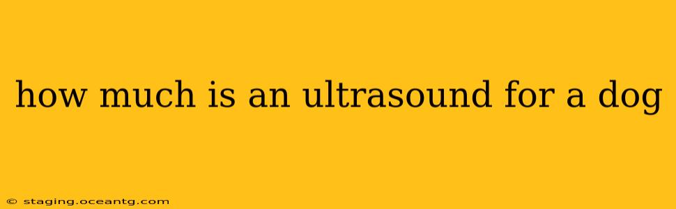 how much is an ultrasound for a dog