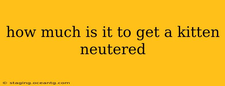 how much is it to get a kitten neutered