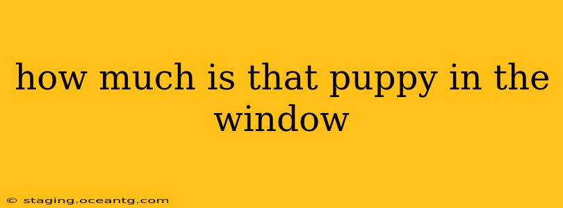 how much is that puppy in the window