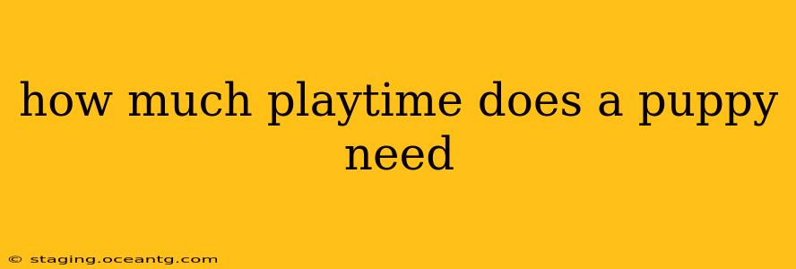 how much playtime does a puppy need