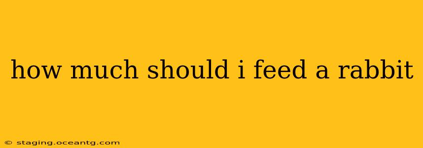 how much should i feed a rabbit