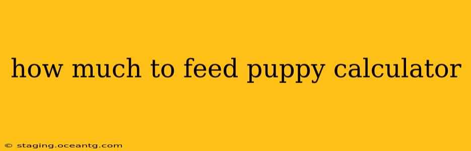 how much to feed puppy calculator