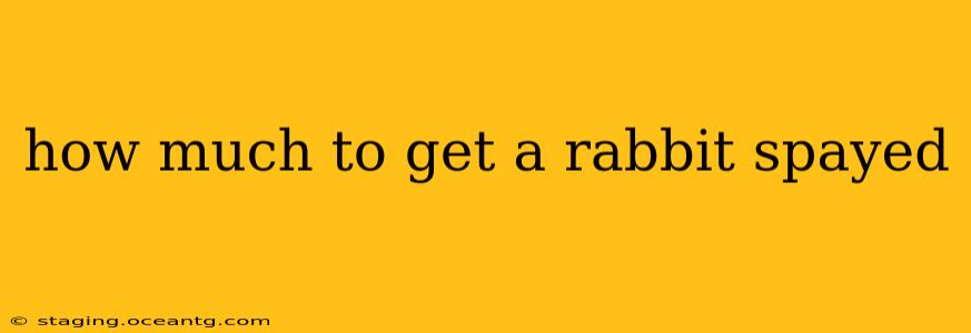 how much to get a rabbit spayed