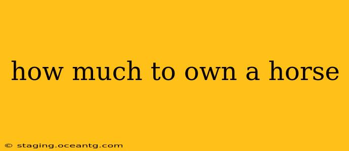 how much to own a horse