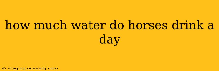 how much water do horses drink a day